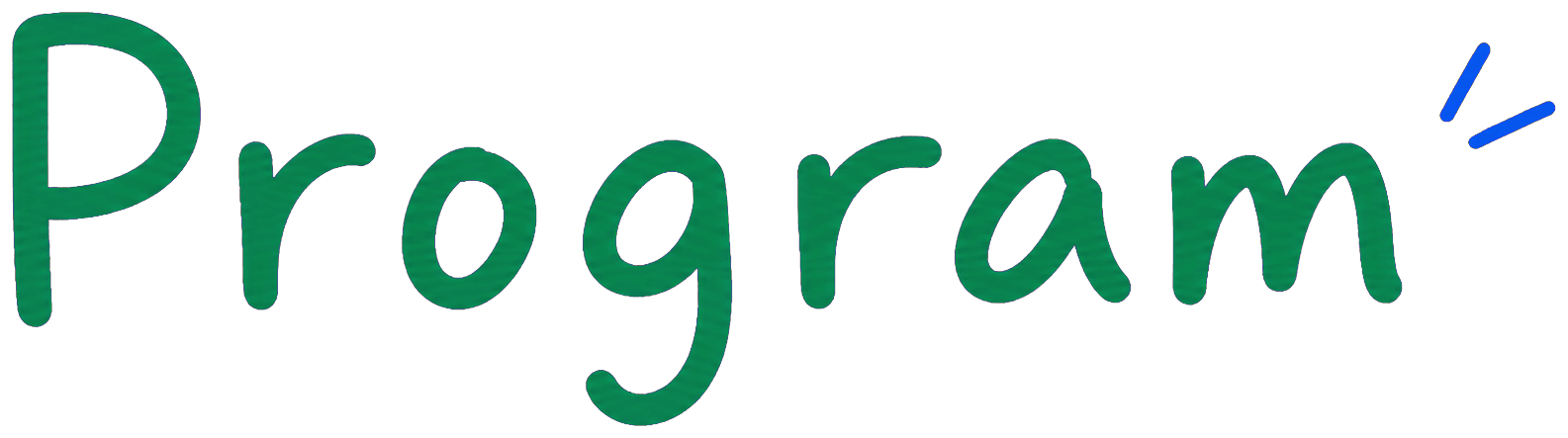 Program